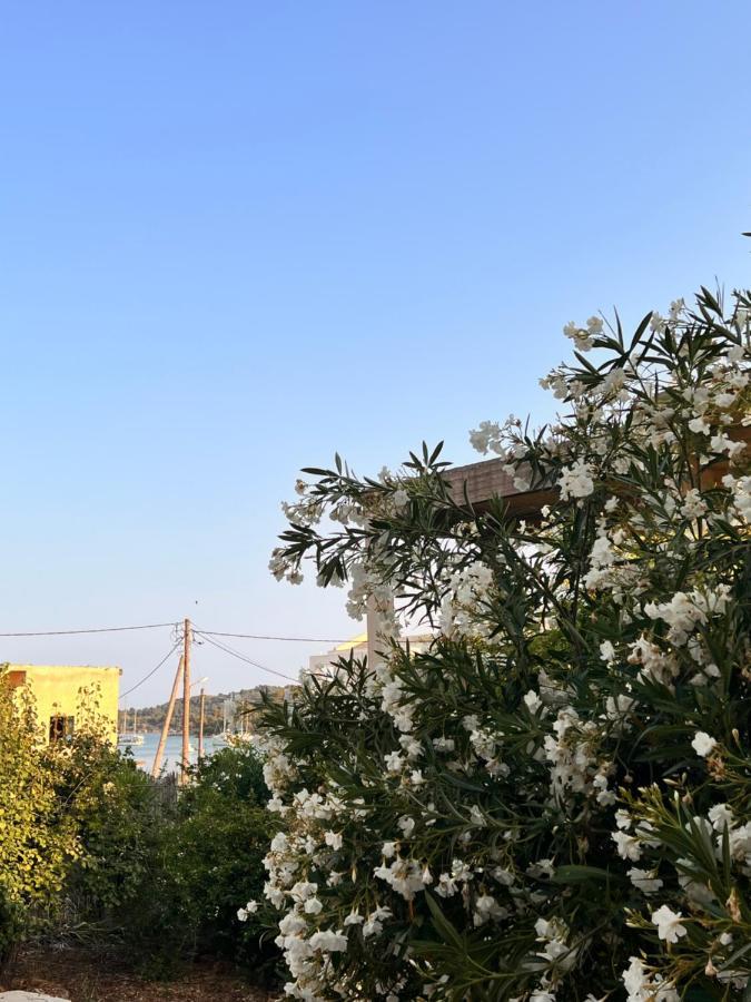 Deppys Apartment بورتو خيلي المظهر الخارجي الصورة